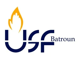 Logo USF
